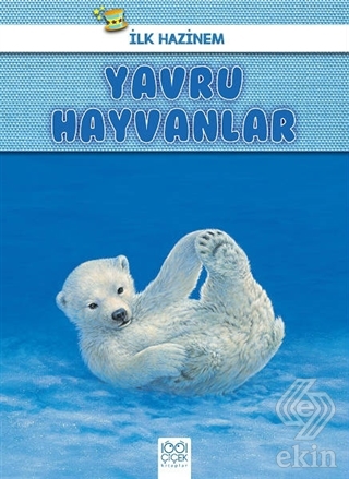 Yavru Hayvanlar - İlk Hazinem