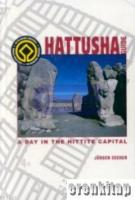 Hattusha Guide A Day in the Hittite Capital