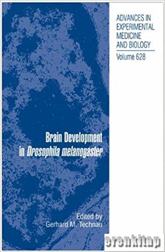 Brain Development in Drosophila Melanogaster