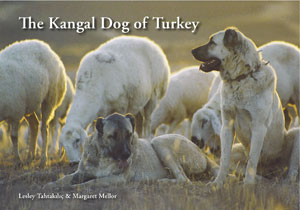 The Kangal Dog of Turkey