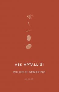 Aşk Aptallığı Aşk Aptallığı