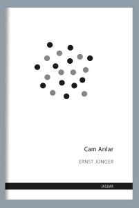 Cam Arılar - Ernst Jünger