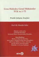Ceza Hukuku Genel Hükümler TCK m.1-75 Pratik Çalışma Araçları