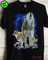 Rock Eagle 29100A Rock Eagle 29100A