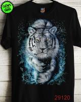 Rock Eagle 29120A Rock Eagle 29120A