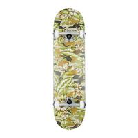 GLOBE- PARA CAMO FULL ON