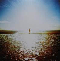 Anathema ‎– We're Here Because We're Here LP