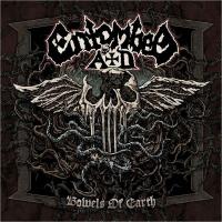 Entombed A.D. ‎– Bowels Of Earth LP