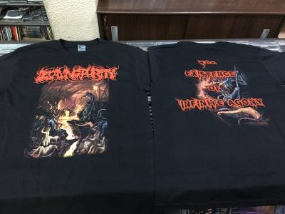 Decaying Purity - The Existence Of Infinite Agony T-shirt