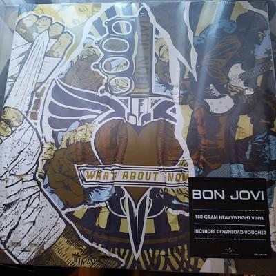 Bon Jovi ‎– What About Now LP