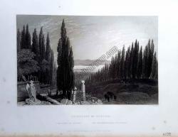 Cemetery of Scutari [ Üsküdar ]