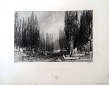 The Great Cemetery of Scutari [Üsküdar]