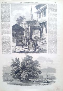 The Oak of Godfrey of Boullon from A Sketch By James Robertson, of Constantinople