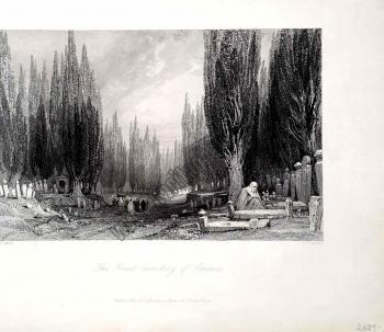 The Great Cemetery of Scutari [Üsküdar]