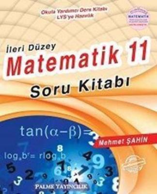 11. Sınıf İleri Düzey Matematik Soru Kitabı