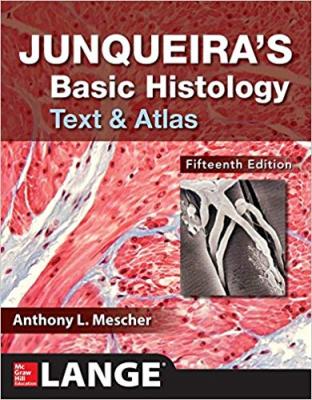 Junqueira's Basic Histology Anthony L. Mescher