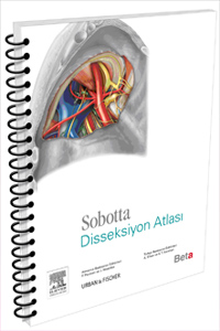 Beta Sobotta Disseksiyon Atlası