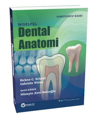 Woelfel Dental Anatomi Hüseyin Avni Balcıoğlu