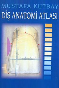 Diş Anatomi Atlası Mustafa Kurtbay