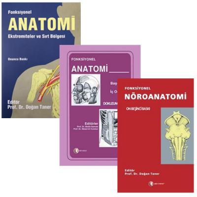 Fonksiyonel Nöroanatomi - Anatomi Baş Boyun ve İç Organlar - Ekstremit