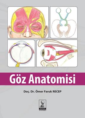 Göz Anatomisi Doç.Dr Ömer Faruk RECEP