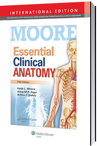 Moore Essential Clinical Anatomy - Keith L. Moore, Anne M.R. Agur, Art