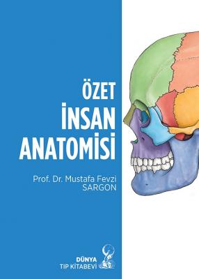 Özet İnsan Anatomisi Mustafa Fevzi Sargon