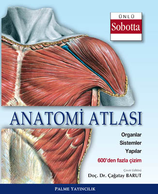 Palme Anatomi Atlası Sobotta Çizimleri %20 indirimli
