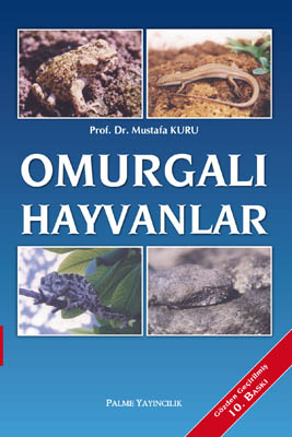 Omurgalı Hayvanlar Mustafa Kuru
