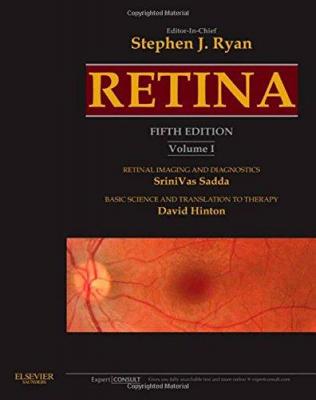Retina Stephen J. Rayn
