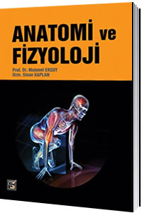 Songür Anatomi ve Fizyoloji - Mehmet Ersoy, Sinan Kaplan