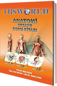 Tusworld Anatomi Efsane Konu Kitabı