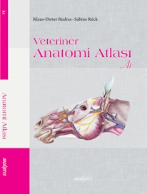 Veteriner Anatomi Atlası At Doç. Dr. Özcan ÖZGEL