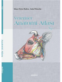 Veteriner Anatomi Atlası Sığır Prof.Dr. Kamil BEŞOLUK (Editör)