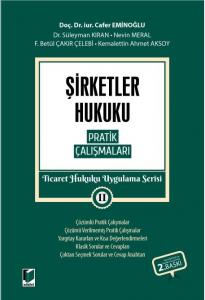 Şirketler Hukuku Pratik Çalışmaları