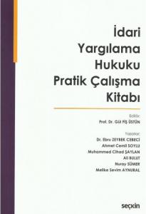 İdari Yargılama Hukuku Pratik Çalışma Kitabı