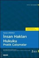 İnsan Hakları Hukuku Pratik Çalışmalar