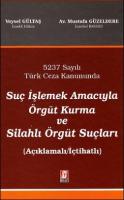 Suç İşlemek Amacıyla Örgüt Kurma ve Silahlı Örgüt Suçları
