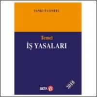 Temel İş Yasaları