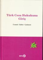 Türk Ceza Hukukuna Giriş