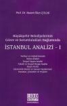 Büyükşehir Belediyelerinin Görev ve
Sorumlulukları Bağlamında İstanbul Analizi- I