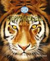 Hayvanlar 3D
