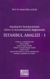 Büyükşehir Belediyelerinin Görev ve
Sorumlulukları Bağlamında İstanbul Analizi- I