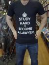 Study Hard To Become A Lawyer