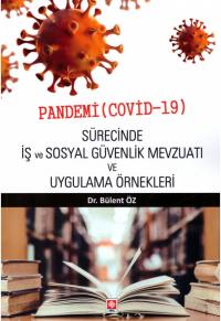 Pandemi (Covid-19) Sürecinde İş ve Sosyal Güvenlik Mevzuatı ve Uygulam