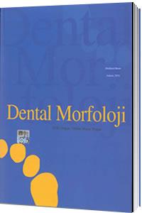 Dental Morfoloji Arife Doğan