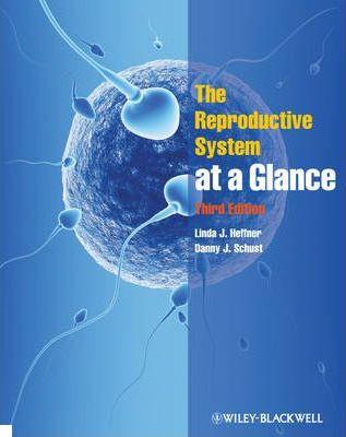 The Reproductive System at a Glance Linda J. Heffner