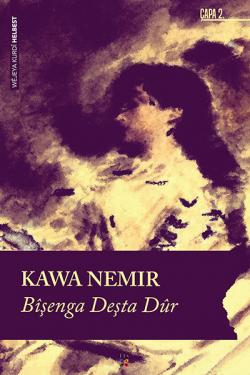 BÎŞENGA DEŞTA DÛR