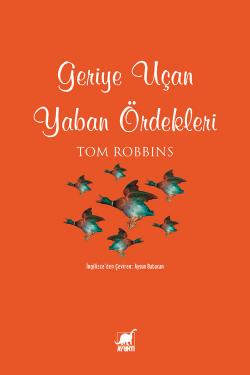 Geriye Uçan Yaban Ördekleri