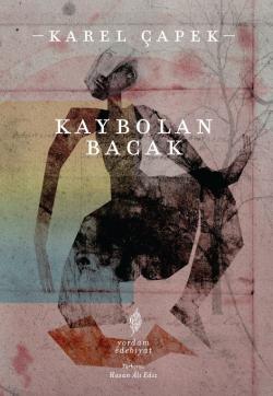KAYBOLAN BACAK (HASARLI)